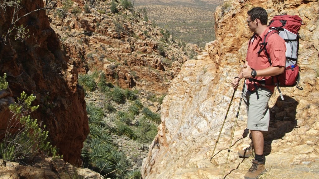 Red Centre featuring hiking or walking and tranquil scenes as well as an individual male