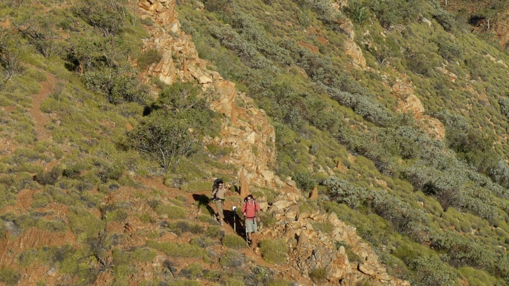 Alice Springs featuring hiking or walking and tranquil scenes as well as a couple