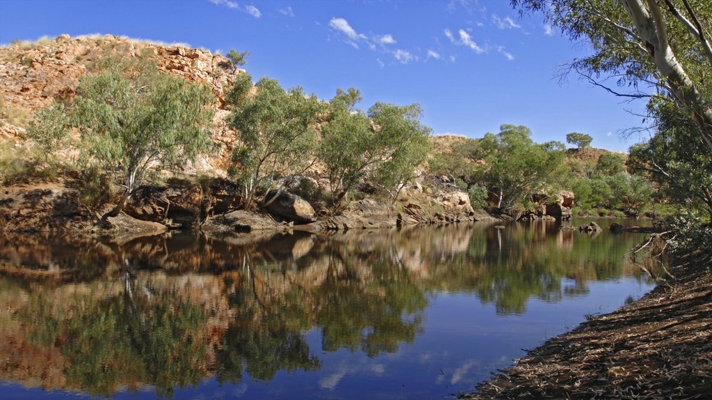 Red Centre showing tranquil scenes and a river or creek