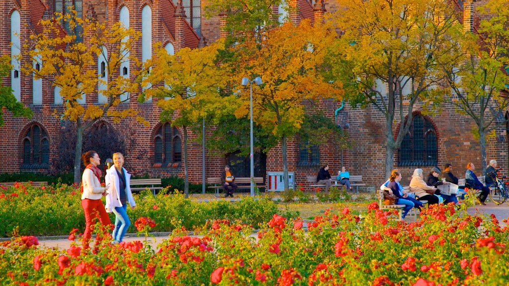 Marienkirche mostrando flores, cores do outono e um parque