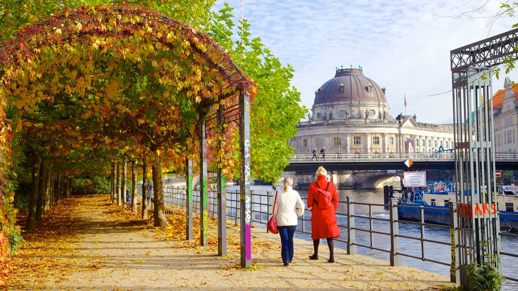 Bode Museum showing autumn colours, heritage architecture and a garden