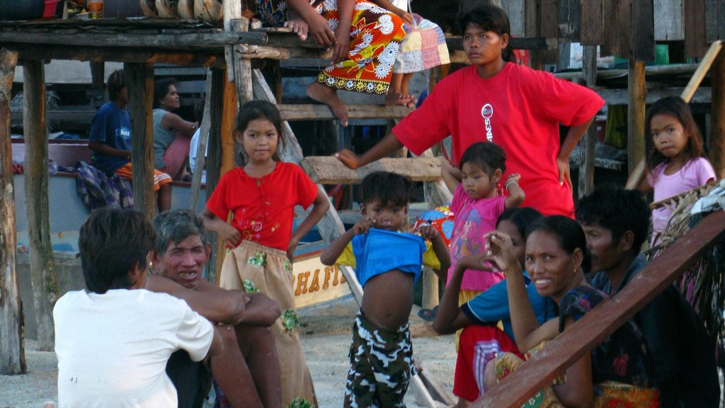 Malaysia showing indigenous culture as well as a large group of people