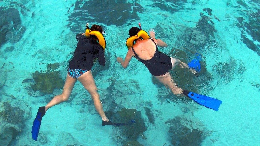 Malásia caracterizando snorkel e natação