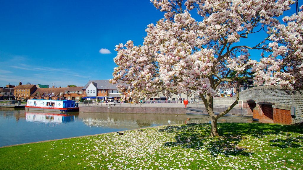 Stratford-upon-Avon showing a garden, boating and a river or creek