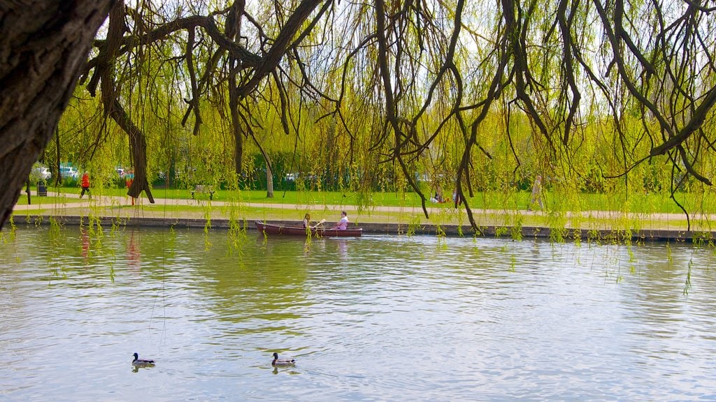 Stratford-upon-Avon montrant un étang et un parc