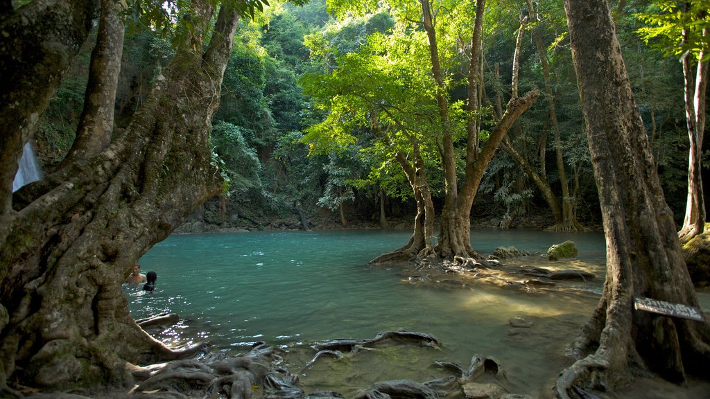 Le parc national d\'Erawan montrant un lac ou un point d’eau et paysages en forêt