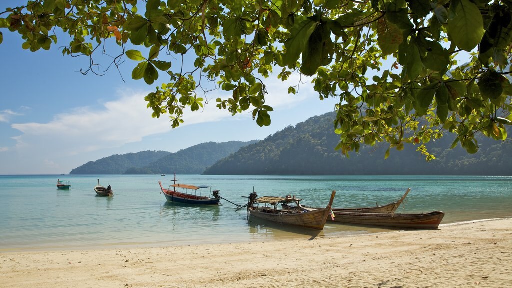 Nationalpark Mu Ko Surin das einen Sandstrand, allgemeine Küstenansicht und Bootfahren