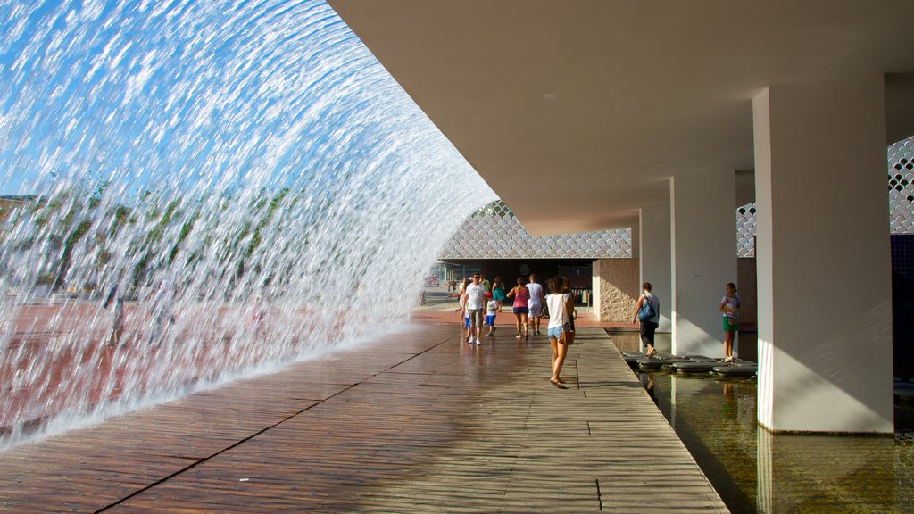 Lisbon Oceanarium showing marine life and a fountain