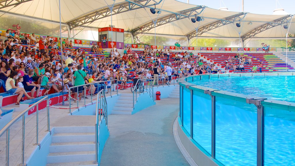 Lisbon Zoo showing zoo animals as well as a large group of people