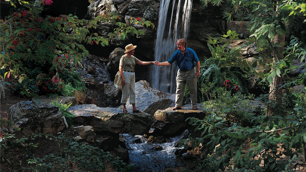 Hot Springs which includes rainforest, a waterfall and hiking or walking