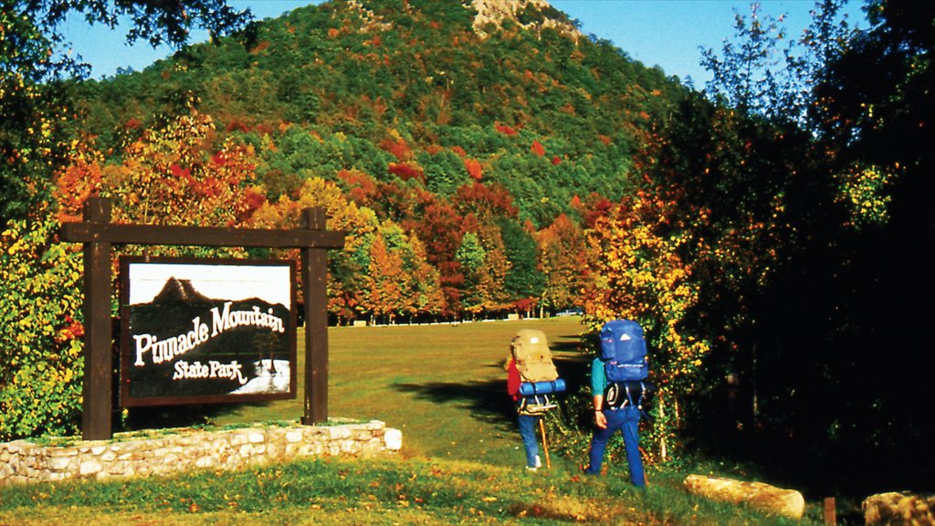 Little Rock showing autumn leaves, hiking or walking and signage