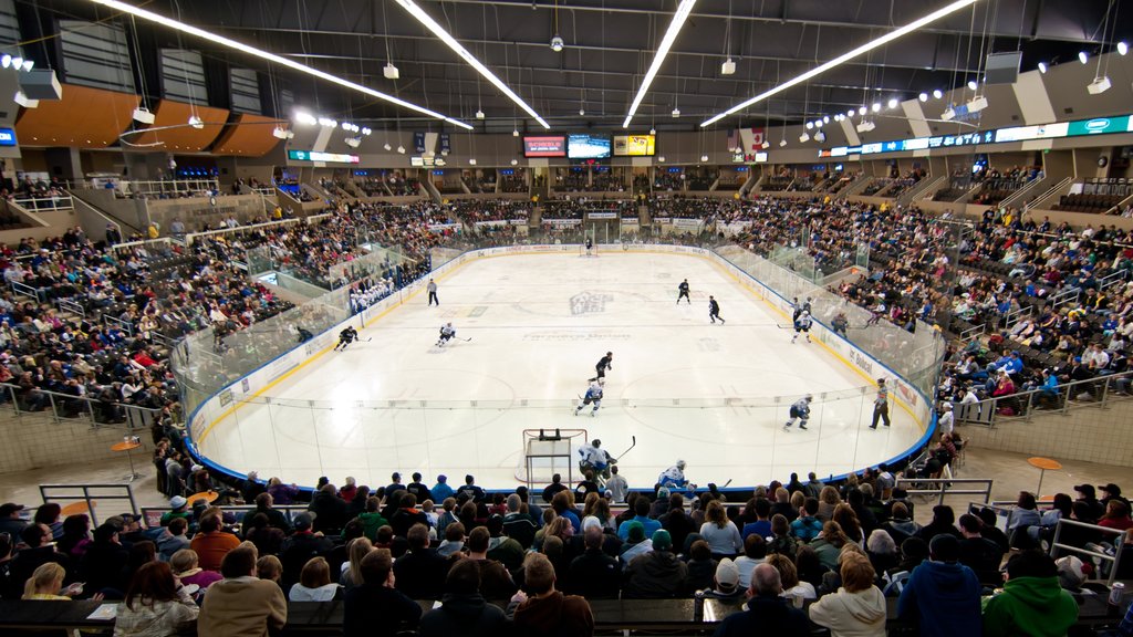 Fargo showing interior views and a sporting event as well as a large group of people