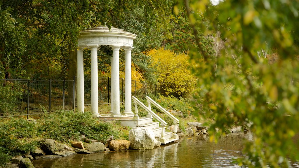 Morris Arboretum ofreciendo un estanque y jardín