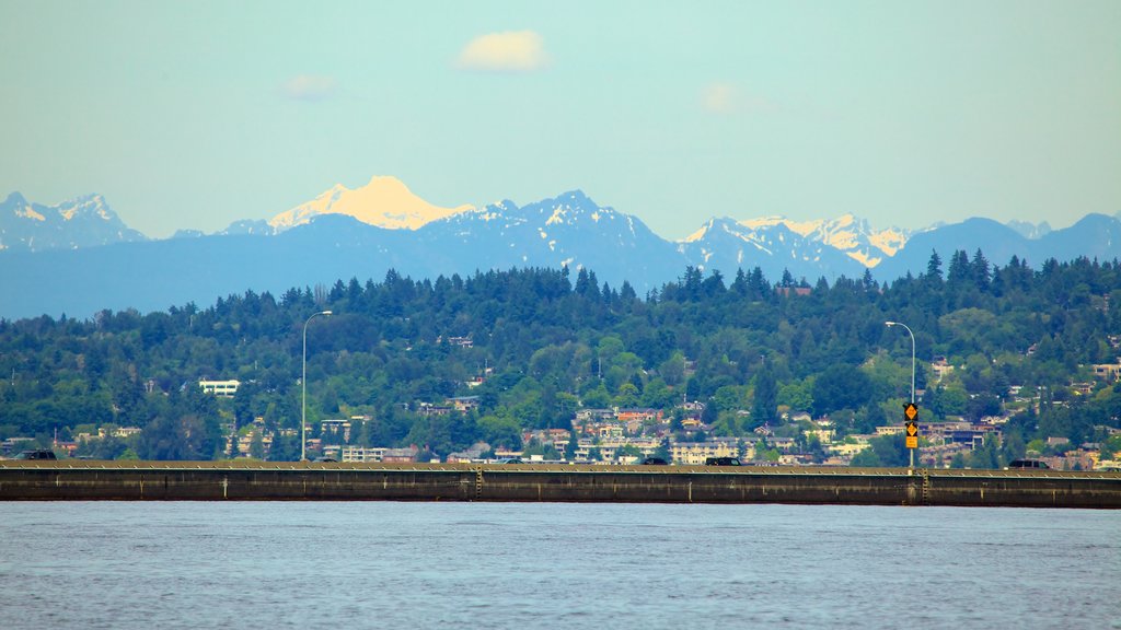 Seattle som inkluderar en kuststad och en sjö eller ett vattenhål