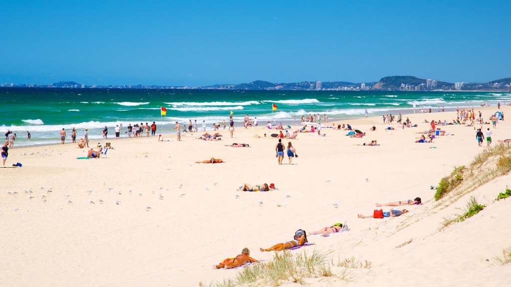 Surfers Paradise Beach which includes general coastal views and a beach