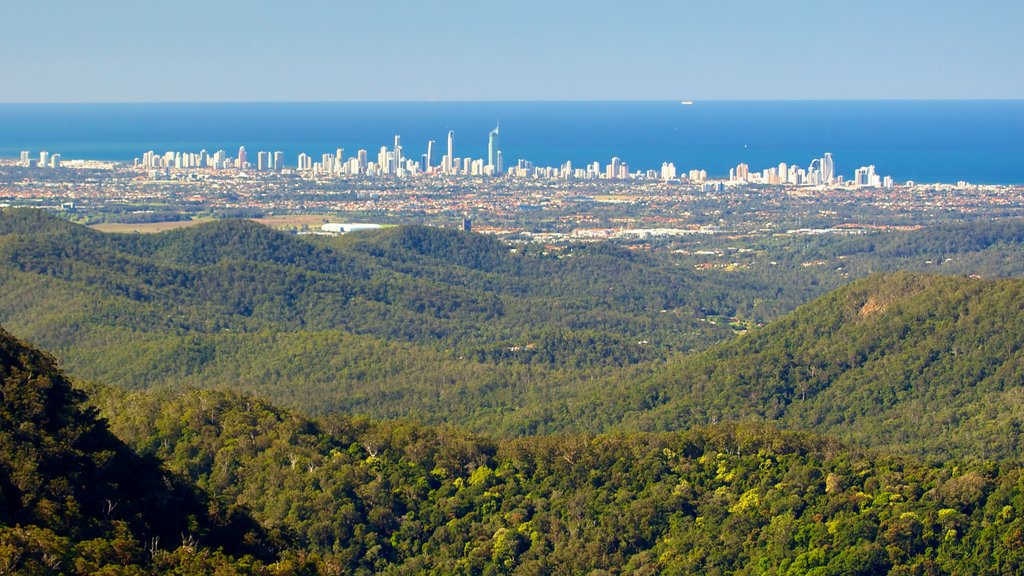 Springbrook National Park which includes mountains, a coastal town and skyline