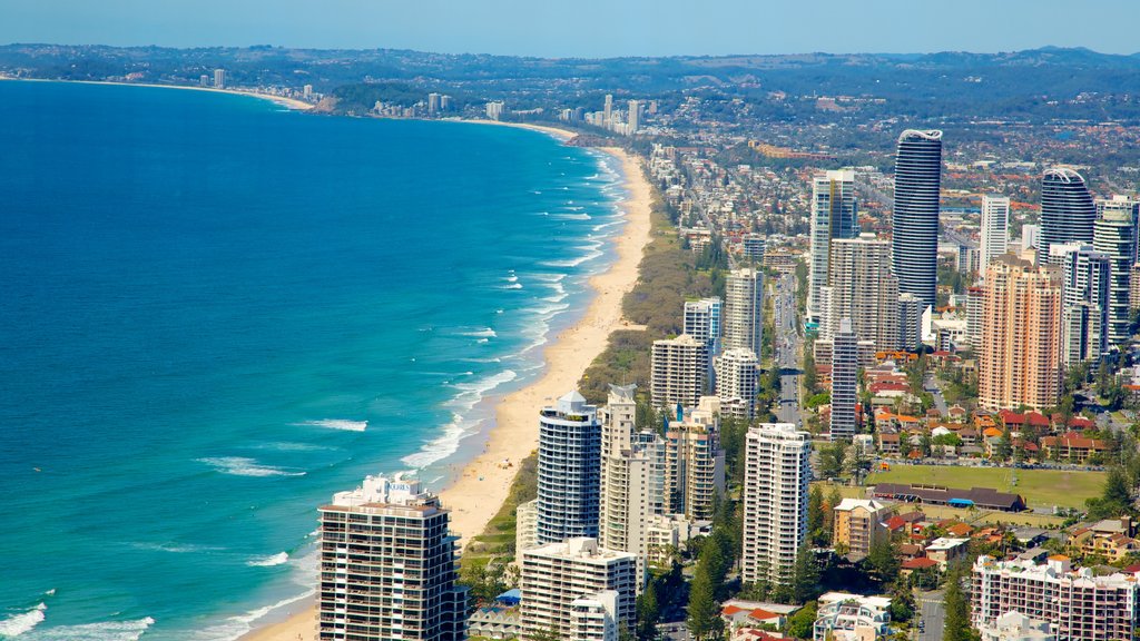 SkyPoint Observation Deck showing a beach, a coastal town and a high-rise building