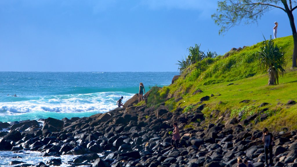 Burleigh Heads showing rocky coastline