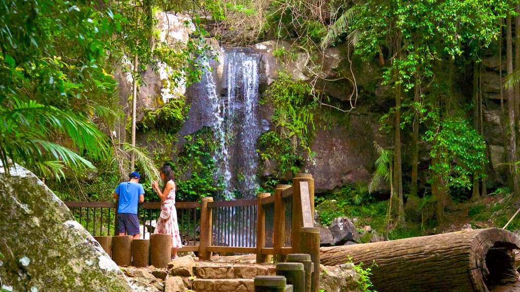 Mount Tamborine montrant cascade, vues et randonnée ou marche à pied