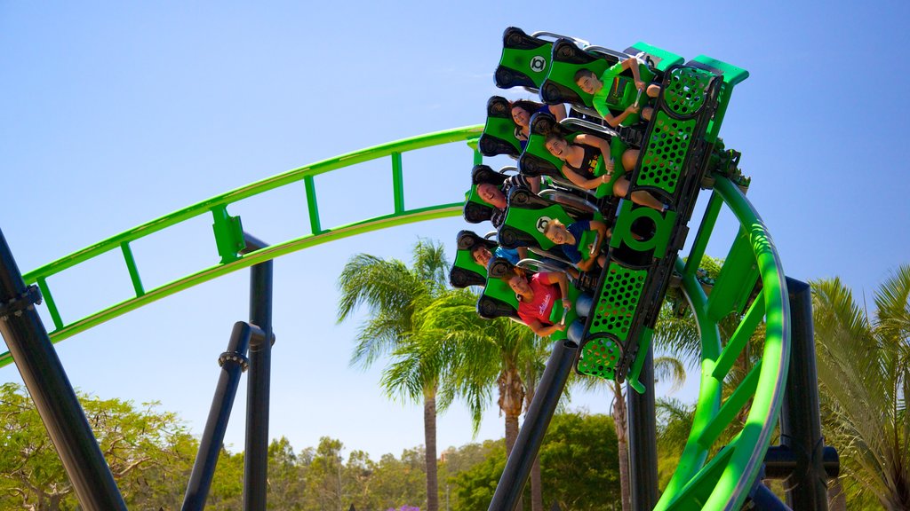 Gold Coast Theme Parks: Tickets, Deals & Family Packages