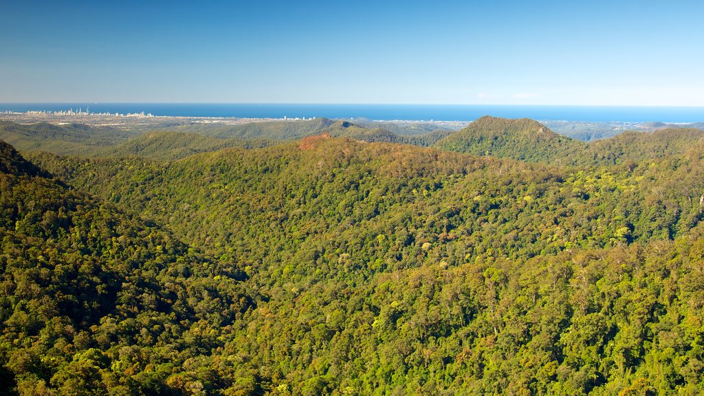 Parc national de Springbook mettant en vedette forêts