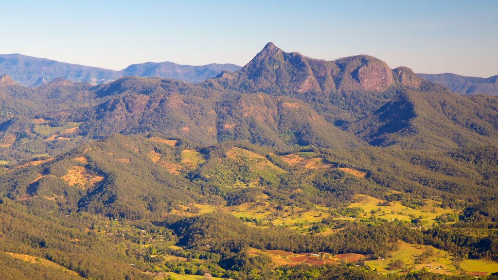 Parque Nacional Springbrook ofreciendo montañas, imágenes de bosques y vista panorámica