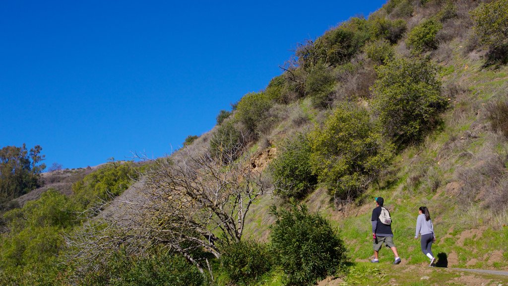 Alum Rock Park showing hiking or walking and a garden