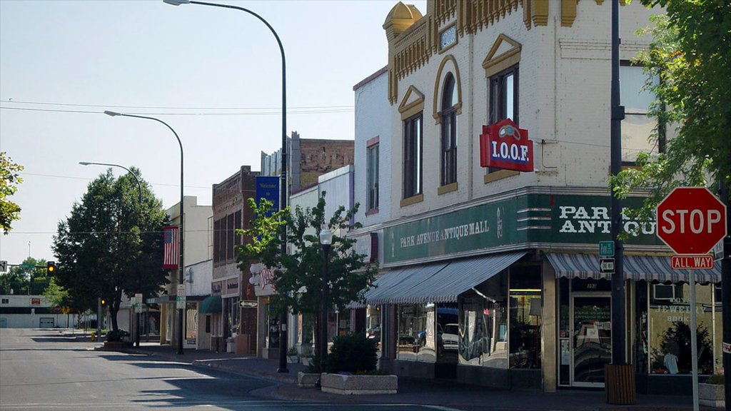 Idaho Falls showing a city and signage