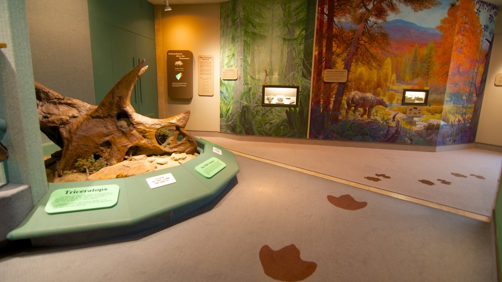 Royal Saskatchewan Museum featuring interior views