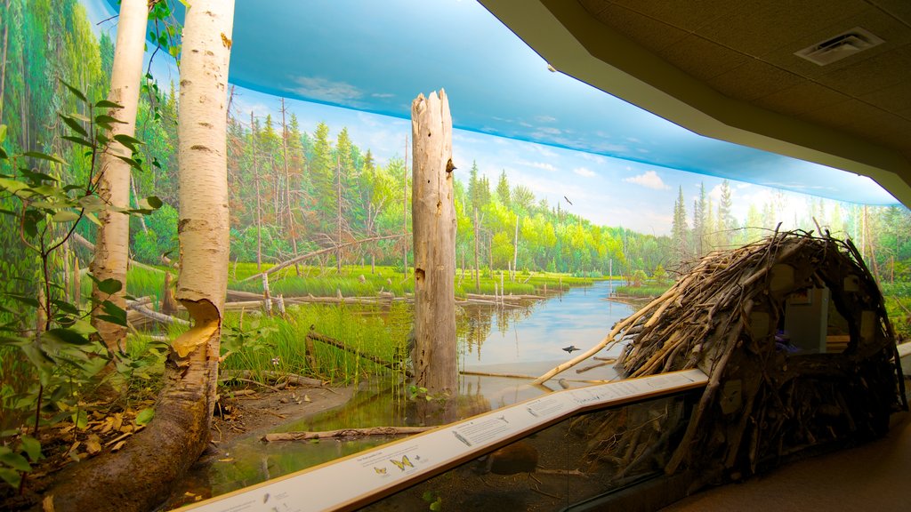 Royal Saskatchewan Museum featuring interior views