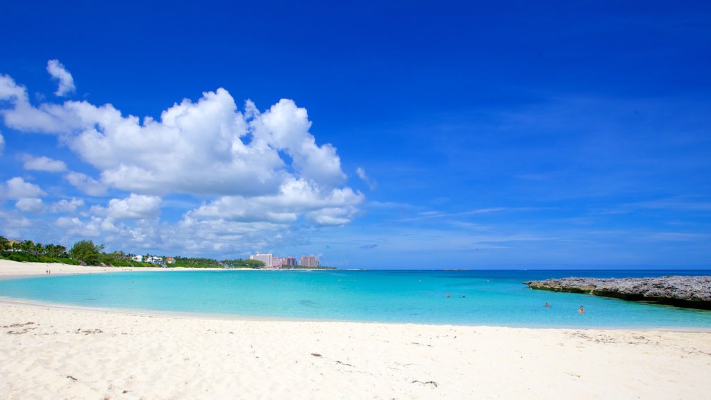 Cabbage Beach showing a sandy beach and landscape views