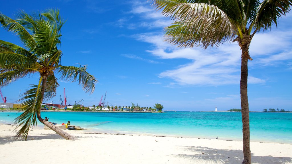 Cayo Arawak mostrando una playa de arena y escenas tropicales