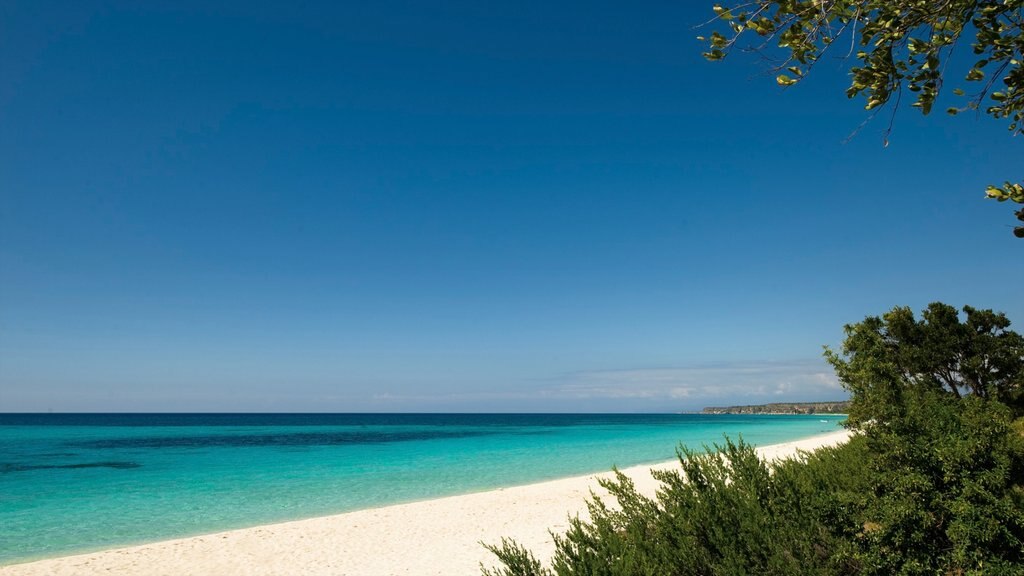 Barahona que incluye escenas tropicales, vistas de paisajes y una playa de arena