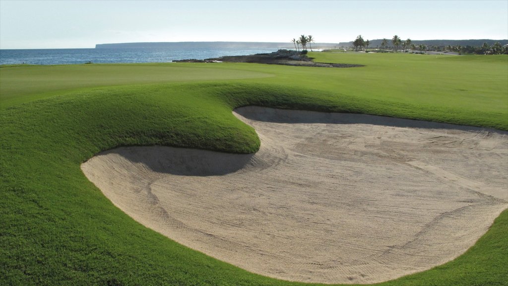 Puerto deportivo de Casa de Campo que incluye vistas generales de la costa y un jardín