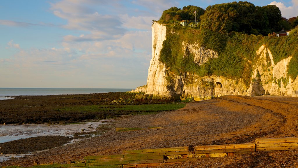 Penhascos Brancos de Dover mostrando paisagens litorâneas e paisagem