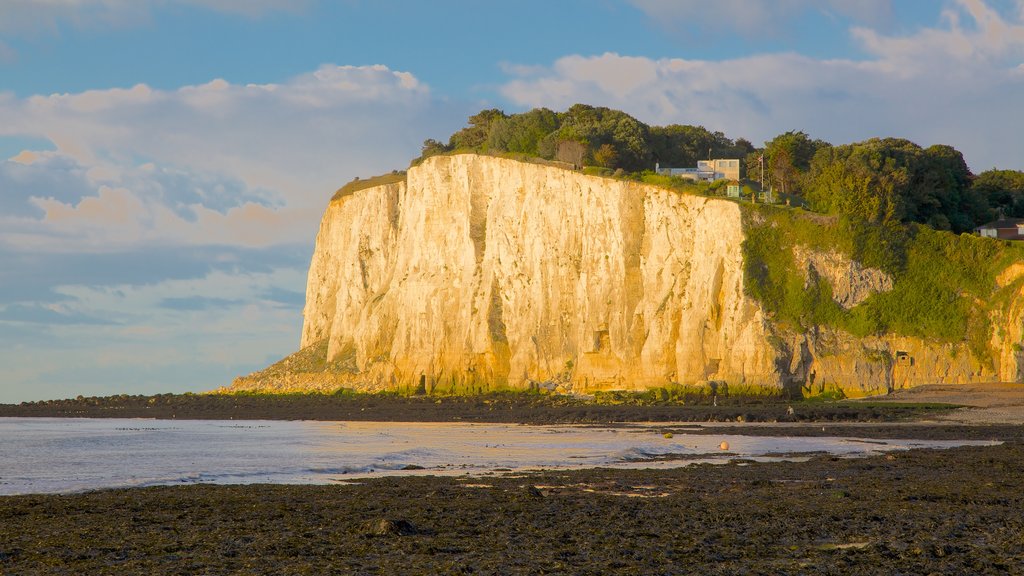 White Cliffs of Dover showing a pebble beach, mountains and landscape views