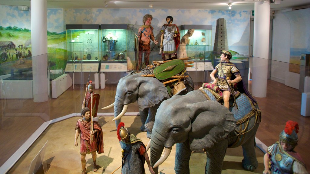 Dover Museum montrant vues intérieures