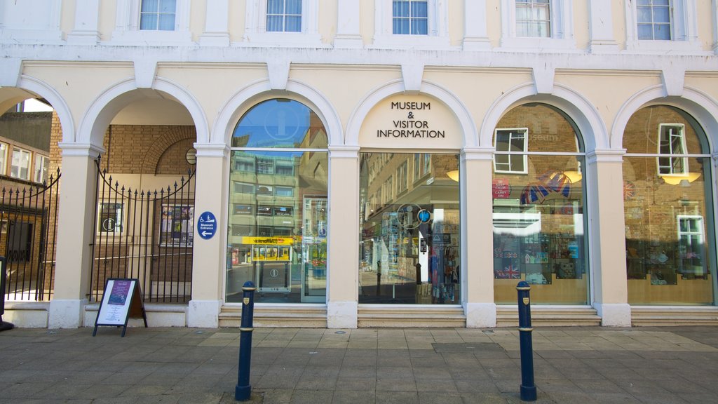 Dover Museum showing a city