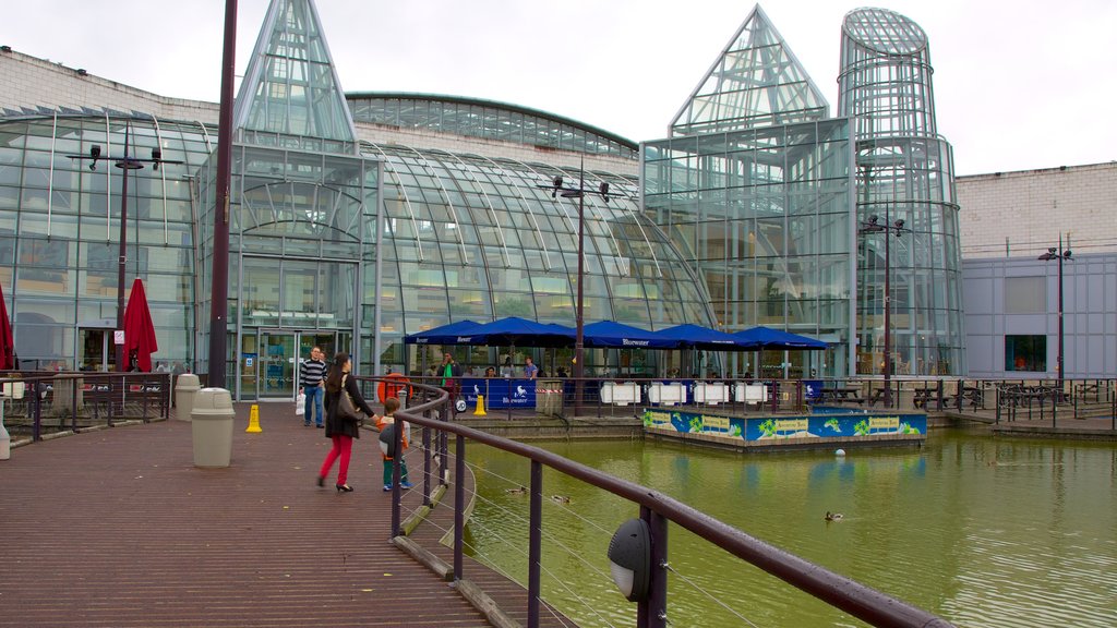 Bluewater Shopping Centre showing modern architecture, a pond and a city