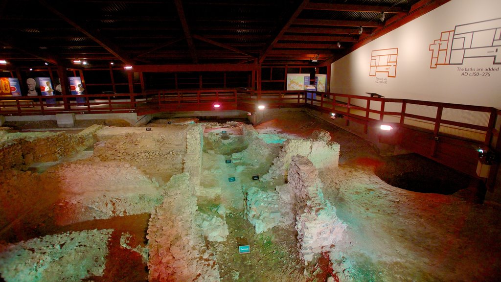 Eynsford showing interior views and building ruins