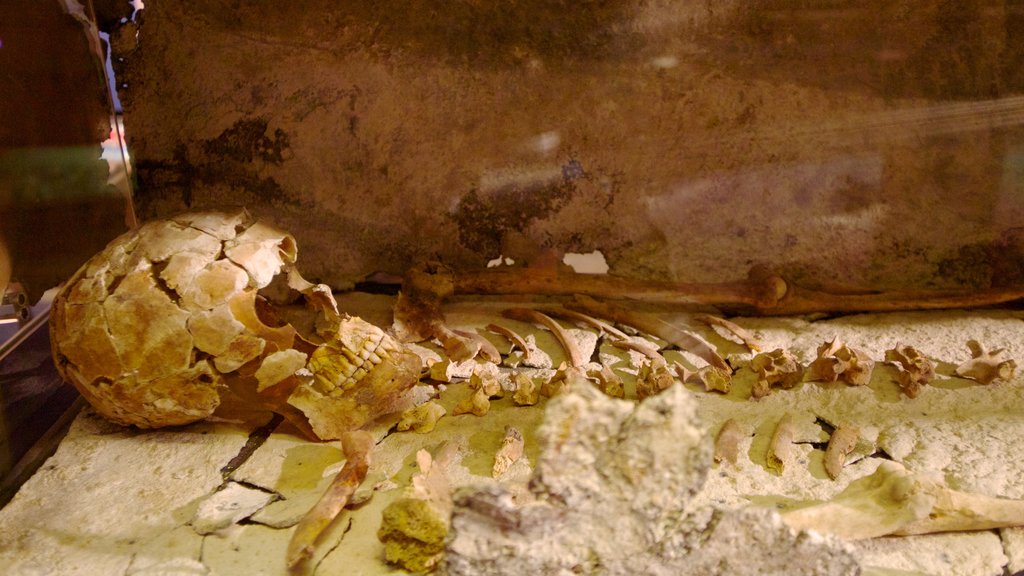 Lullingstone Roman Villa showing interior views