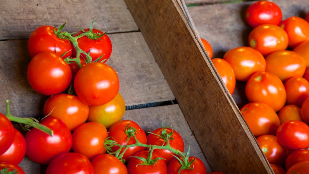 Canterbury showing food and markets