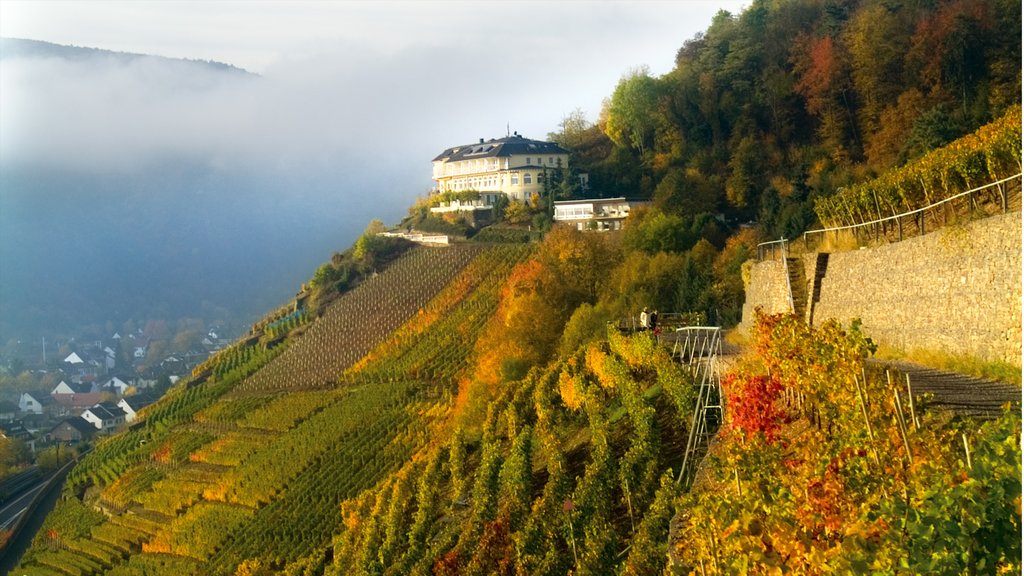 Bad Neuenahr-Ahrweiler mostrando vistas de paisajes, neblina o niebla y montañas