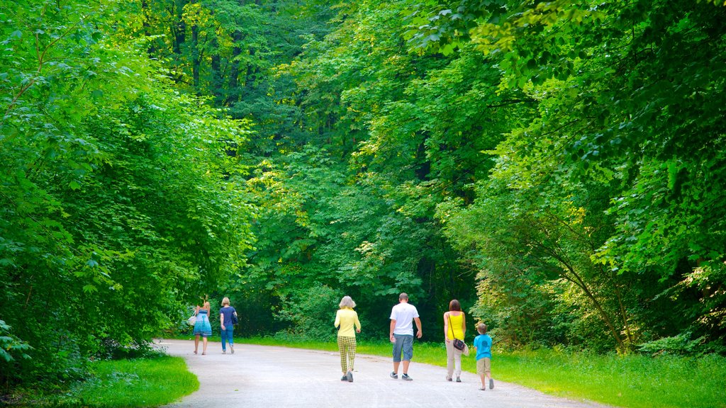 Englischer Garten mostrando um jardim assim como uma família