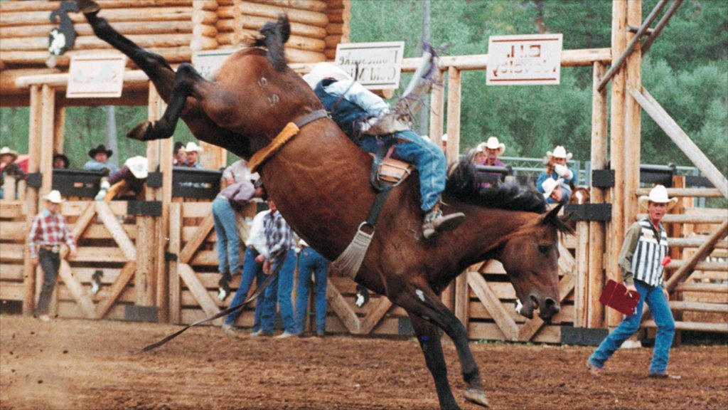 Deadwood showing horse riding, a sporting event and land animals