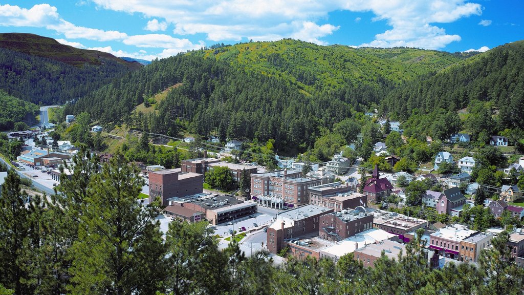 Deadwood que incluye montañas, una pequeña ciudad o pueblo y escenas tranquilas