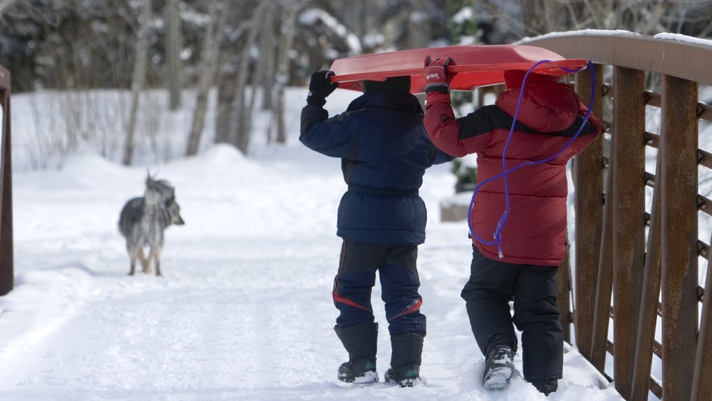 Boulder qui includes neige aussi bien que un petit groupe de personnes