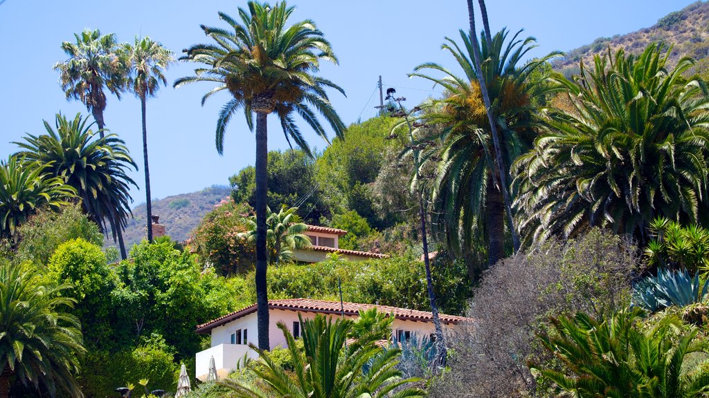 Malibu showing a house and a coastal town