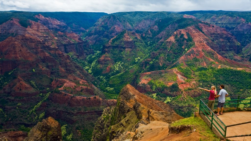 Waimea que incluye un barranco o cañón, vistas de paisajes y montañas