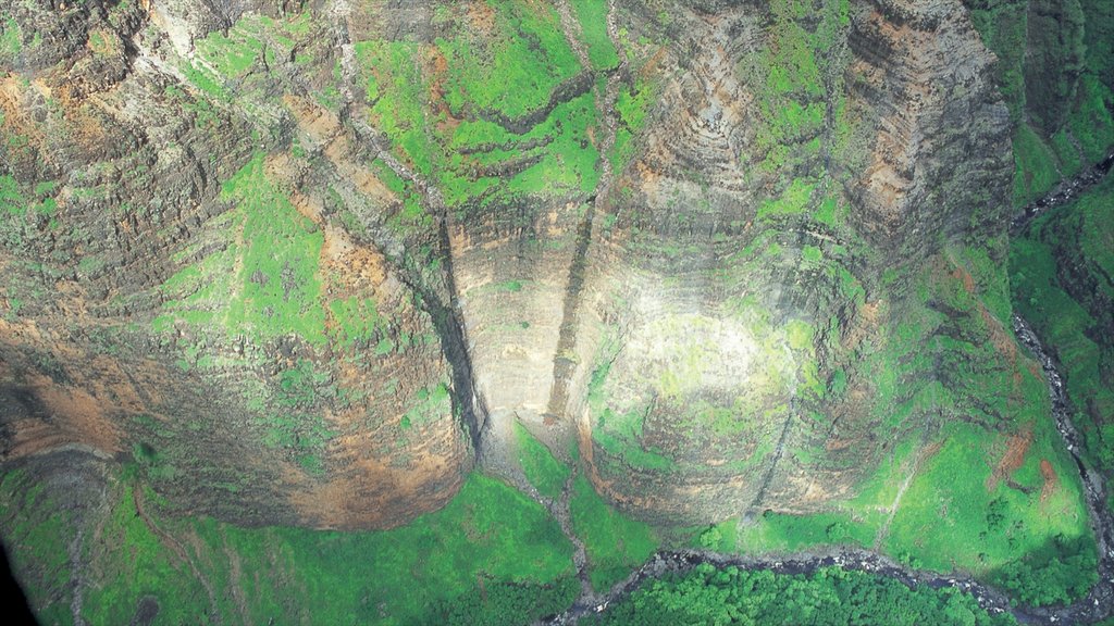 Cañón Waimea que incluye bosques y una garganta o cañón